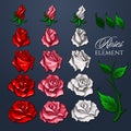 Roses Elements Set